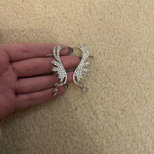 Earrings new