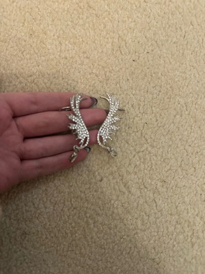 Earrings new