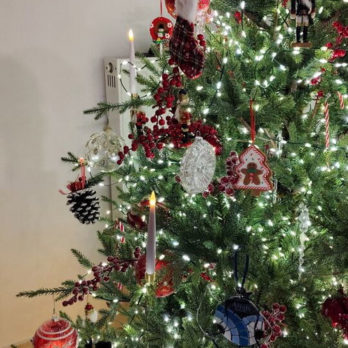 Norway spruce Christmas tree 210cm