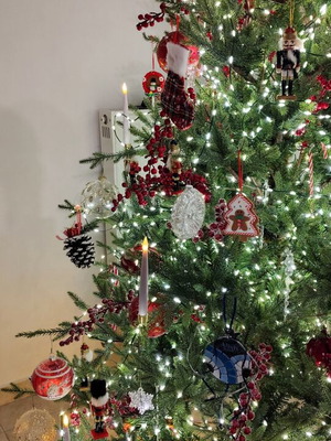 Norway spruce Christmas tree 210cm