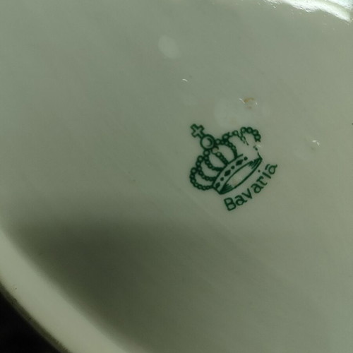 Vintage porcelain Bavaria platter with duck design used