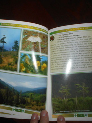 ΥΠ.ΓΕΩΡΓΙΑΣ ''ΕΘΝΙΚΟΙ ΔΡΥΜΟΙ ΤΗΣ ΕΛΛΑΔΟΣ ΕΚΔ 2004