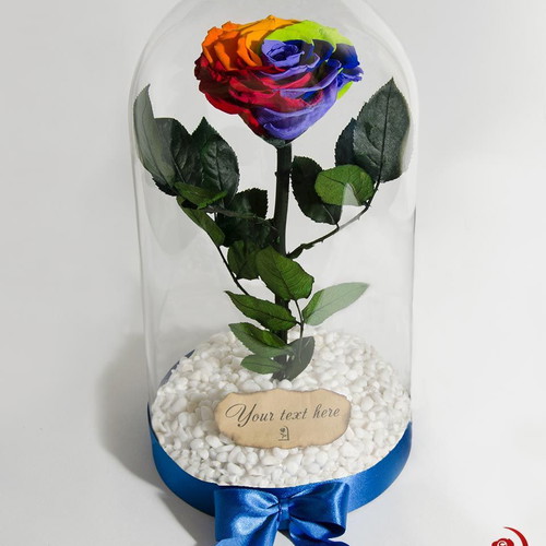 Rainbow Eternal Rose in Large Glass Dome made to order