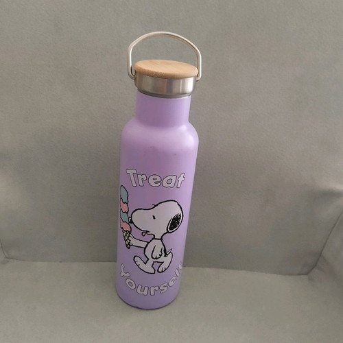 Children's thermos used, stainless steel, Snoopy