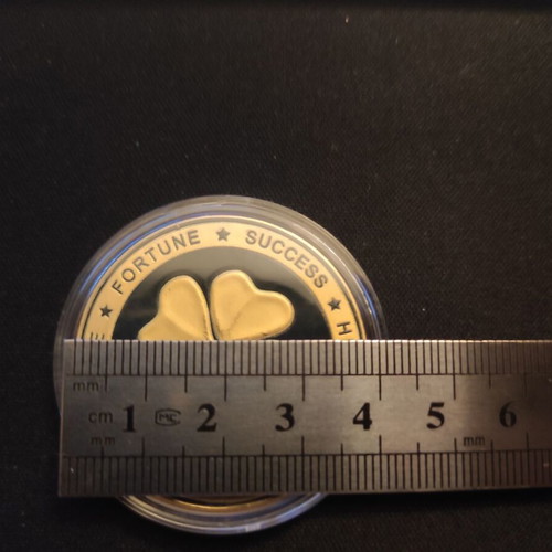 Good Luck Coin new for prosperity