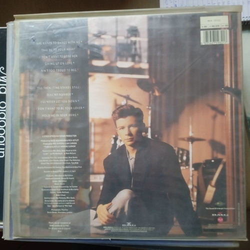 Rick Astley Hold Me In Your Arms vinyl used, Pop