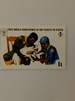 Maldives First World Conference Boy Scouts Stamp like new