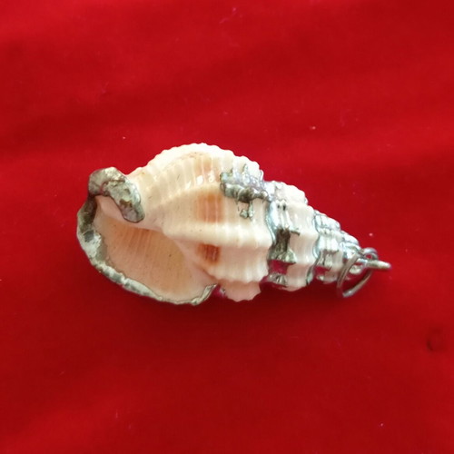 Pendant natural seashell like new, beige and silver finish