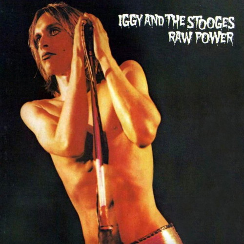 Iggy Pop poster 32×23cm with frame new