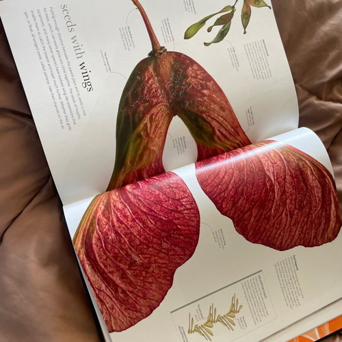 The Science of Plants book new, coffee table, English