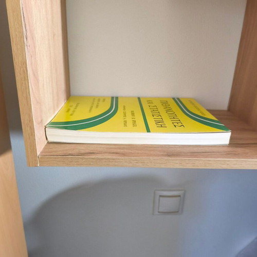 Probability and Statistics book like new, theory with solved and unsolved problems