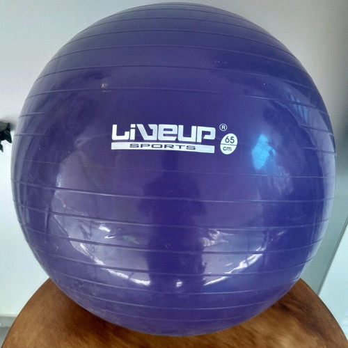 Live Up Gym Ball 65cm and Jump Rope 3m used