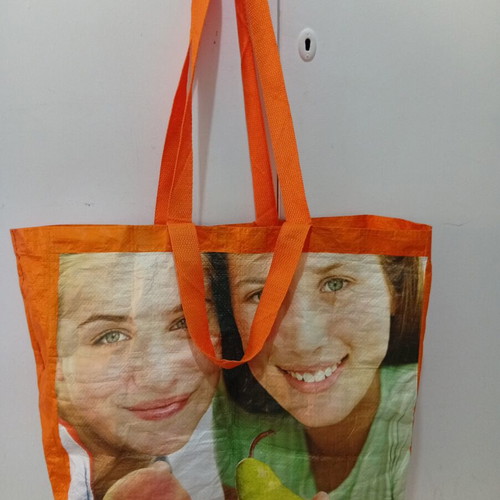 Large shopping bag with double handles