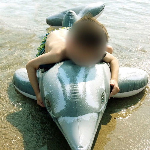 Inflatable dolphin used for sea and pool