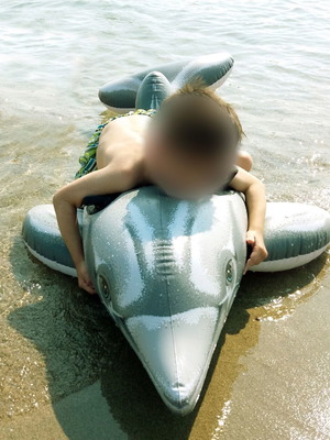 Inflatable dolphin used for sea and pool