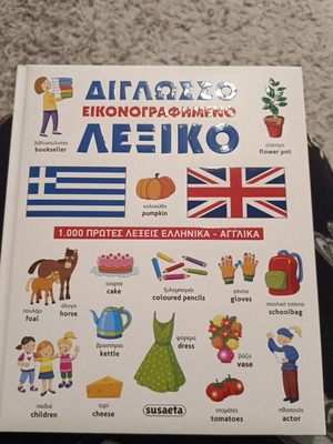 Bilingual illustrated dictionary new