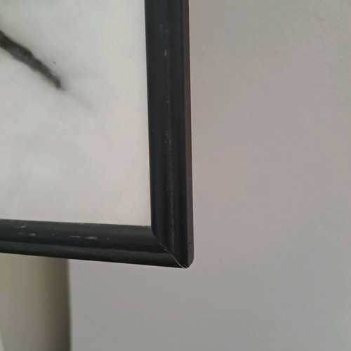 Spider tarantula in black frame with glass 22x22cm like new