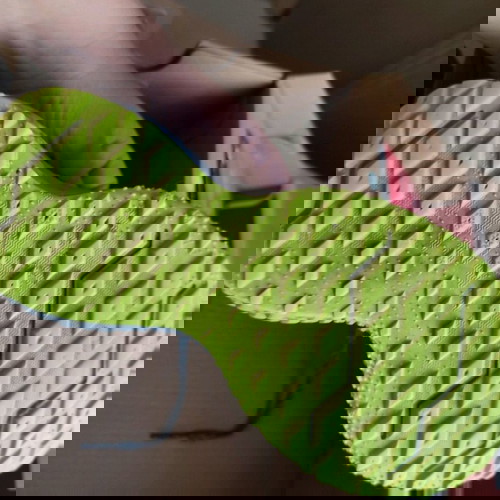 New Balance αθλητικά παπούτσια 37 μεταχειρισμένα, γκρι και πράσινα