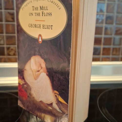 The Mill on the Floss novel used, English