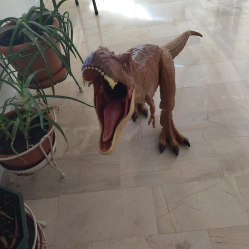 Jurassic World Mattel Dinosaur Figures used, 1 meter Tyrannosaurus and Gigantosaurus