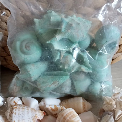 Natural seashell collection, various sizes and shapes, 2kg