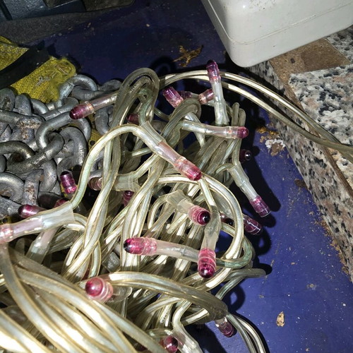 Pink stable lights used