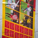 Rivaldo poster used