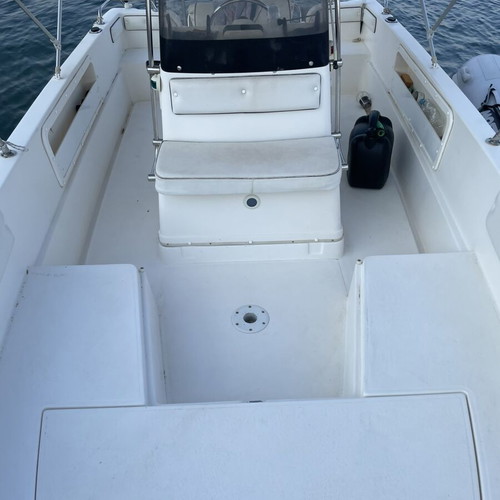 Selva 6.0 Boat like new with 100 HP engine and trailer
