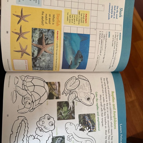 Animals of the World English Workbook like new