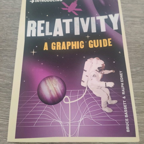 Relativity A Graphic Guide book like new, English