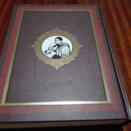 Habibi graphic novel used by Craig Thompson, English