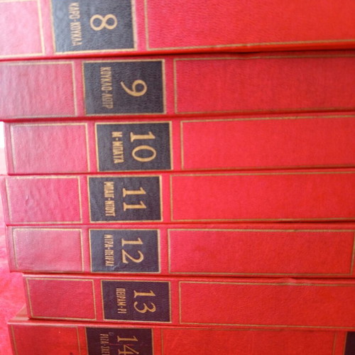 Domi Encyclopedia set of 15 volumes like new