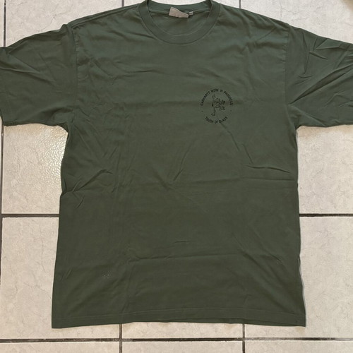 Carhartt Wip Oversized T Shirt like new, black and green, XL XXL