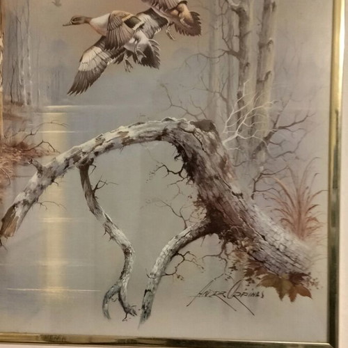 Frame with wild duck poster like new, 50x40 with glass