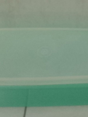 Vintage Tupperware 784-4 δοχείο φύλαξης σέλερι/ψωμιού, μεταχειρισμένο