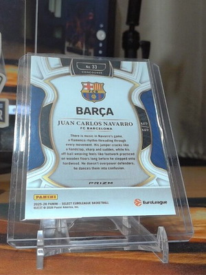 Juan Carlos Navarro Panini Select EuroLeague Dragon Scale Prizm card 5/5