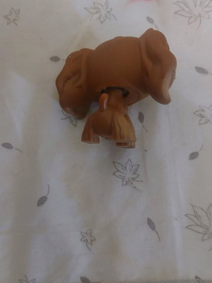 Lps Spaniel Cocker