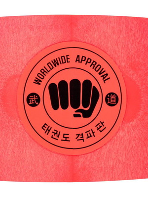 Red Reusable ABS Breaking Tile 25x22x0.7cm for Martial Arts