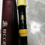 Recorder like new