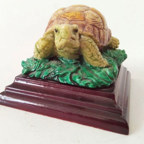 Decorative turtle on wooden base like new