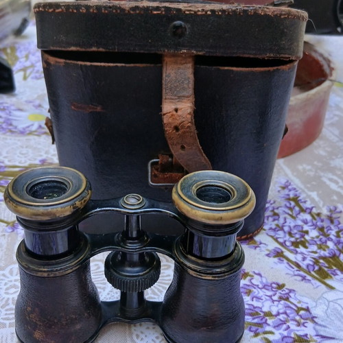 Theater binoculars with case, vintage