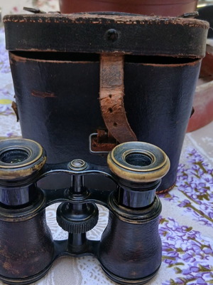 Theater binoculars with case, vintage