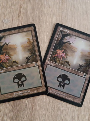 Swamp MTG card near mint, basic land ONS set