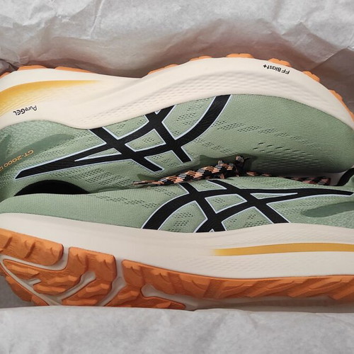 Asics GT-2000 12 TR running shoes new, Nature Bathing Series, size 46