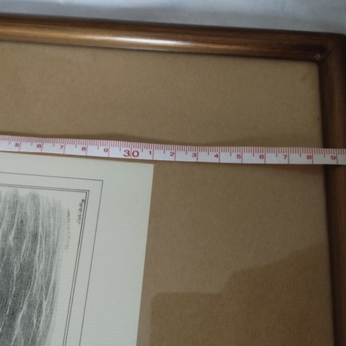 Engravings in wooden frame set of 3 like new