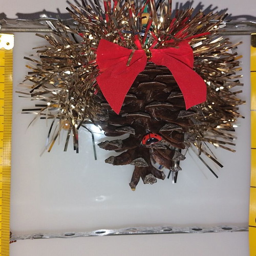 Christmas pinecone ornaments new, set of 8, natural decoration