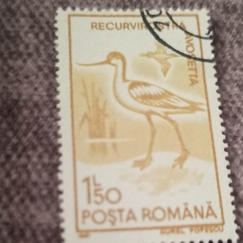 Romanian stamp used