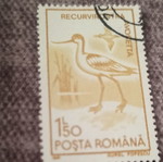 Romanian stamp used