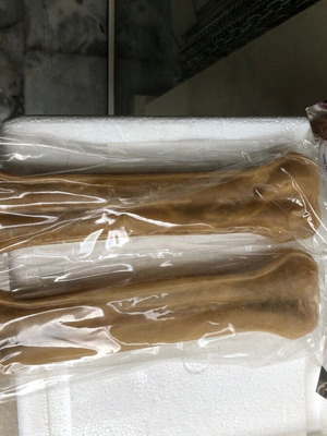 Pet Camelot solid natural bone from cowhide 25.4cm 240gr 2 pieces new