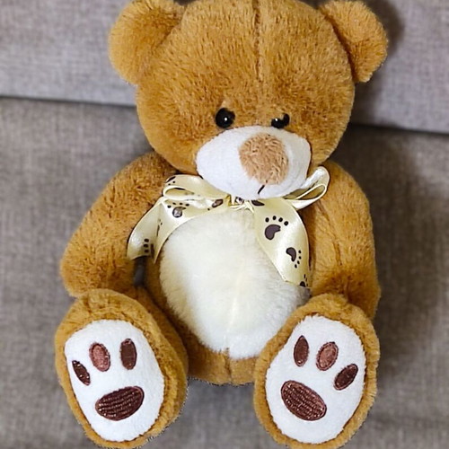 Set of 2 plush toys like new, giraffe 28cm and teddy bear 16cm